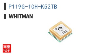 P119G-10H-K52TB|Whitman Controls