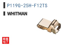 P119G-25H-F12TS|Whitman Controls
