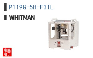 P119G-5H-F31L|Whitman Controls