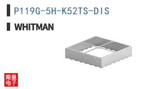 P119G-5H-K52TS-DIS
