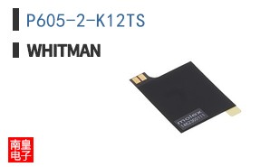 P605-2-K12TS|Whitman Controls