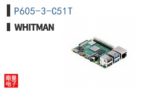 P605-3-C51T|Whitman Controls