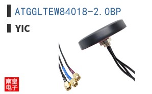 ATGGLTEW84018-2.0BP|YIC