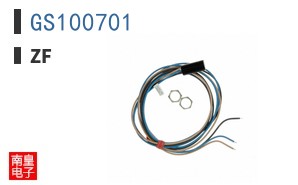 GS100701|ZF