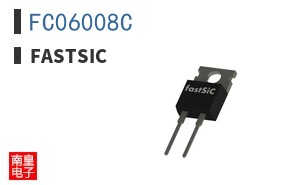 FC06008C|fastSiC