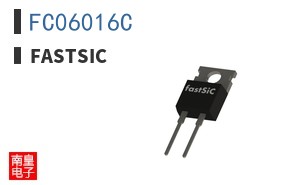 FC06016C|fastSiC